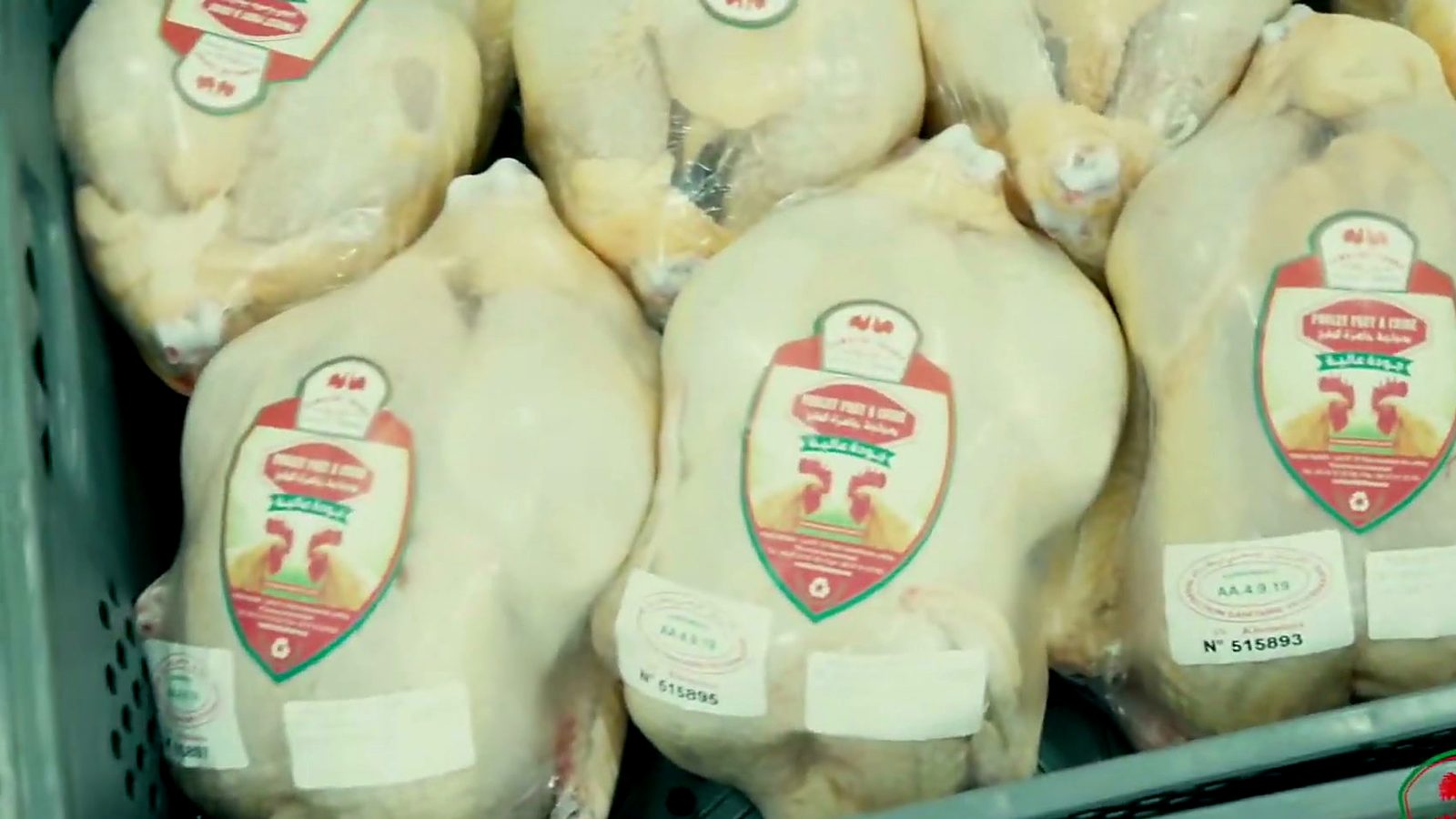 Poulets étiquetés à l’abattoir Dawajine Johara